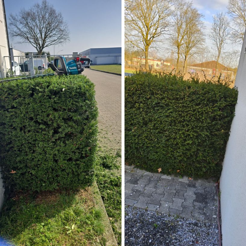 Gartenpflege – Referenzfoto 11 von 16